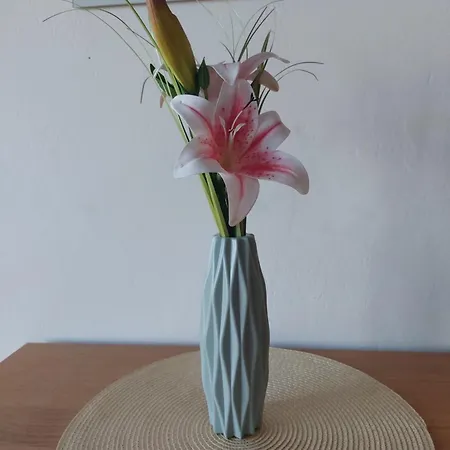 V Podhuri Krusnych Hor * ソコロフ
