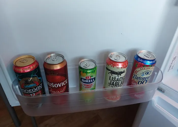 V Podhuri Krusnych Hor Apartman Sokolov